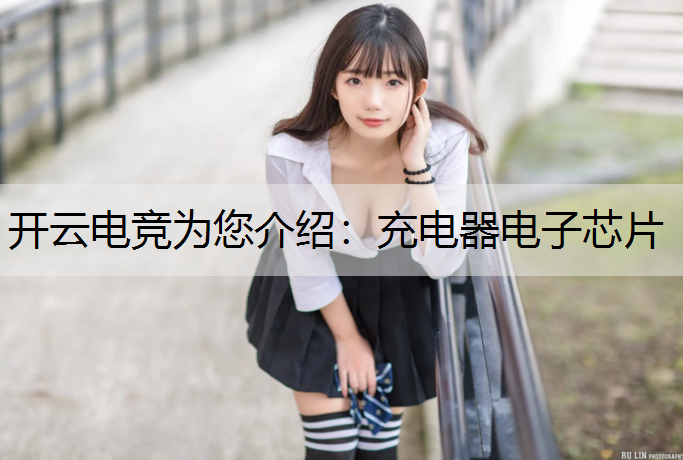 充电器电子芯片